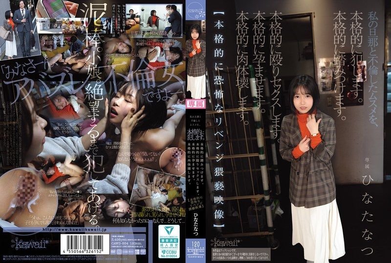 我會認真地侵犯和我的老公偷情的女兒。認真地踩踏她。認真地打野炮。認真地讓她懷孕。認真地摧毀她的肉體。【認真地恐怖的復仇猥褻影像】 日向夏